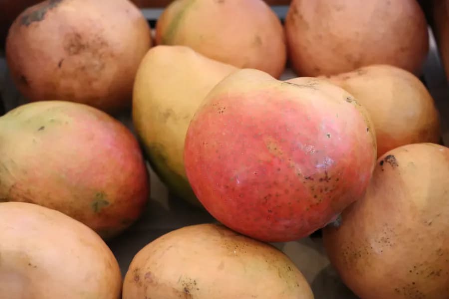 Apple Mangos (Per piece)