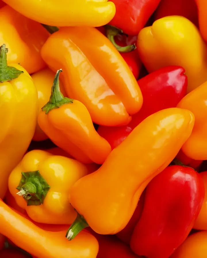 Baby Sweet Peppers Red (250g)