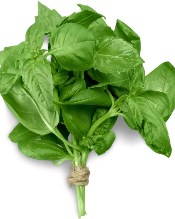 Fresh Basil (50g)