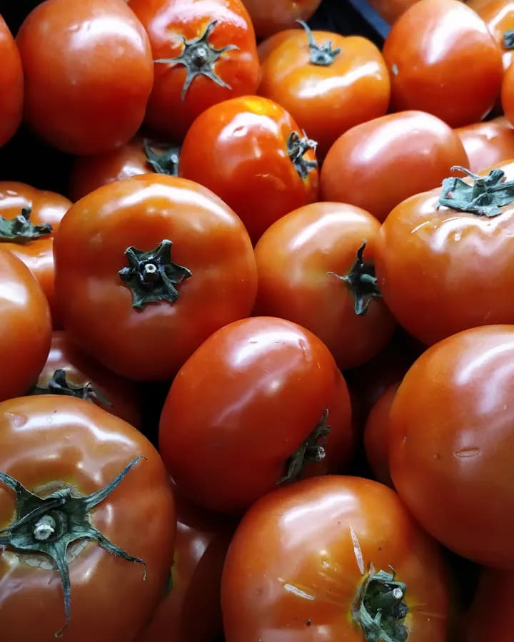 Beef Tomato (KG)