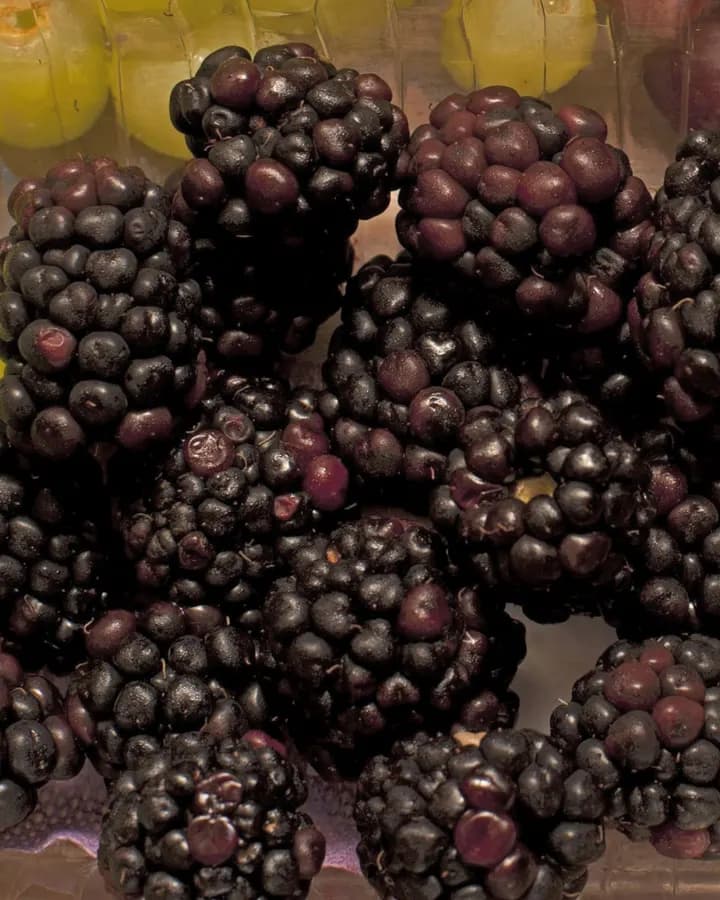 Fresh Blackberries (125g)