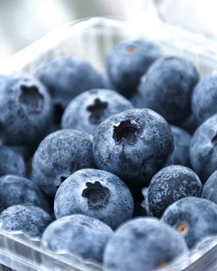 Fresh Blueberries (125g)