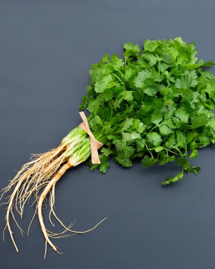 Fresh Dhania/ Coriander (50g)