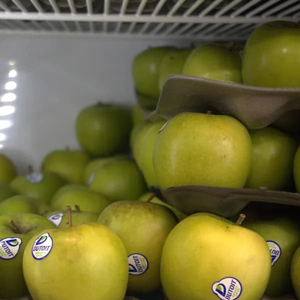 Green Apples (KG)