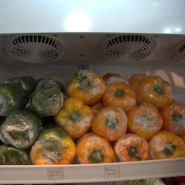 Green Capsicum (KG)