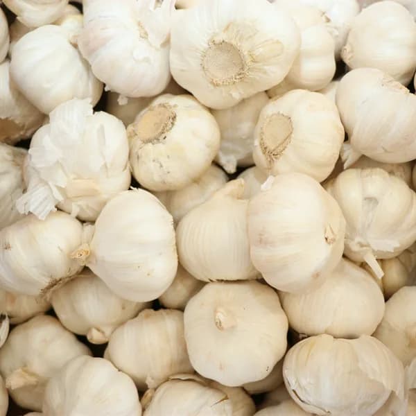 Imported Garlic (KG)