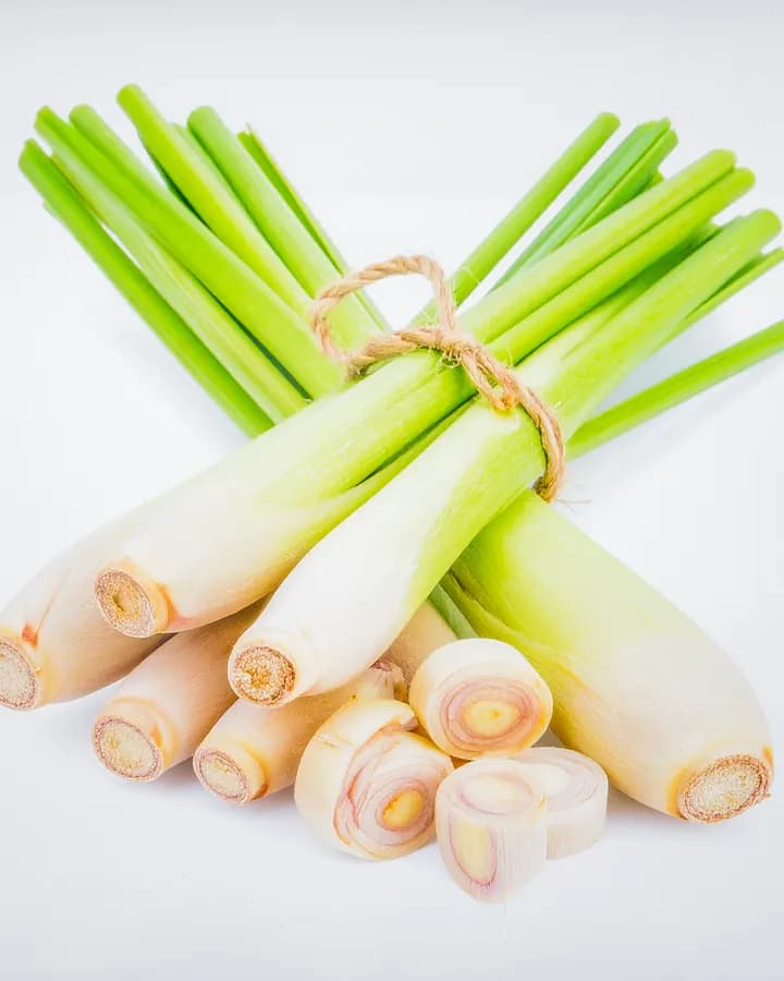 Fresh Lemon Grass (50g)
