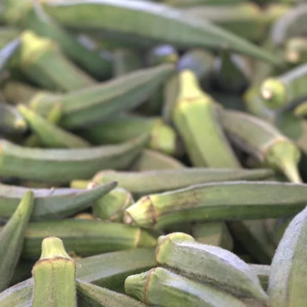 Okra (KG)