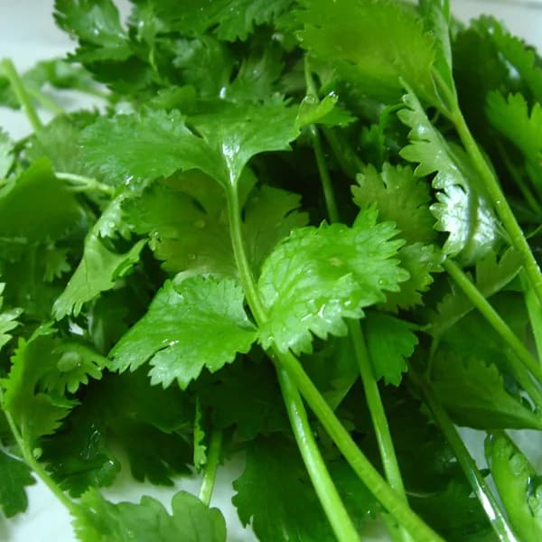 Parsley (50g)