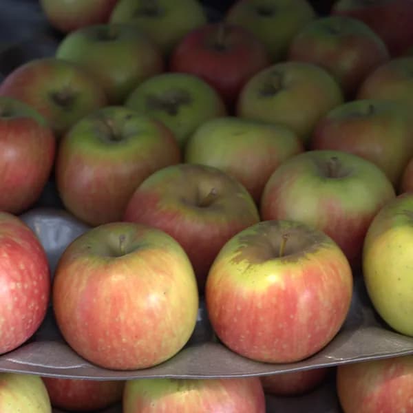 Pink Lady Apples (KG)