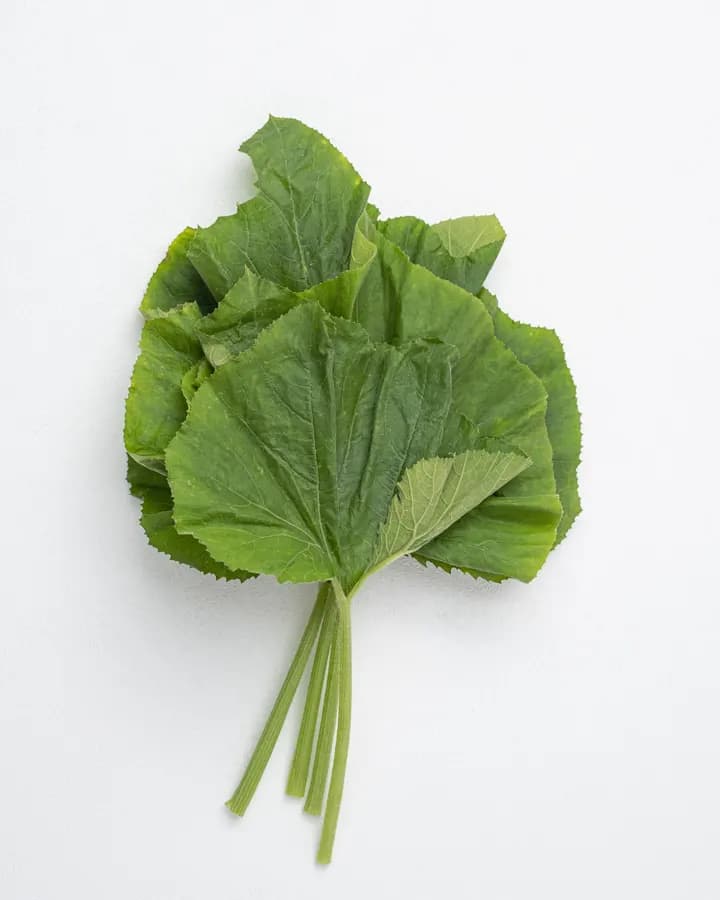 Pumpkin Leaves / Kahurura (Bunch)