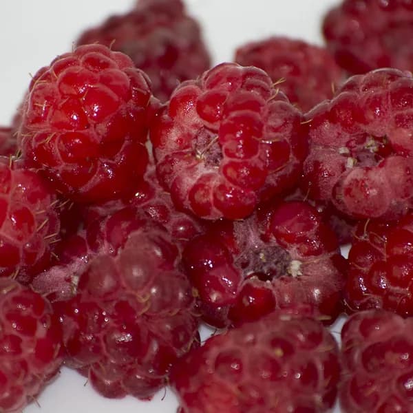 Raspberries (125g Punnet)