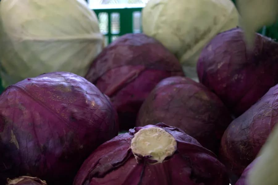 Red Cabbage (Per piece)