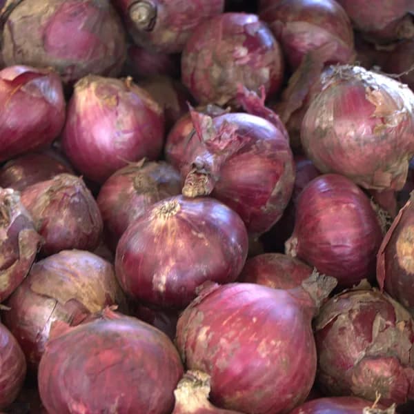 Red Onions (KG)