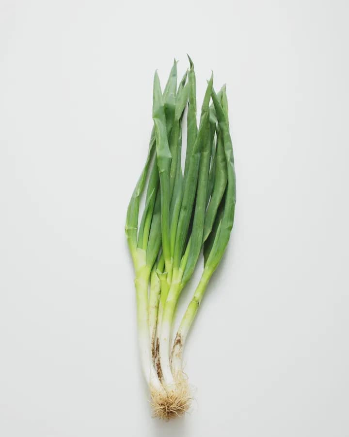 Spring Onion (50g)