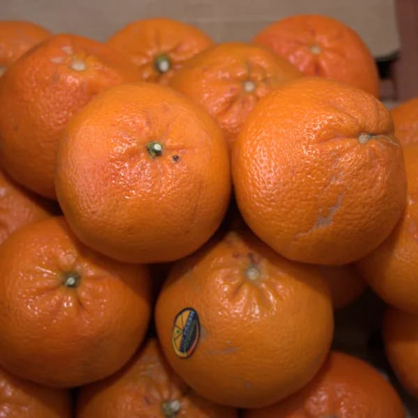 Imported Tangerine (KG)