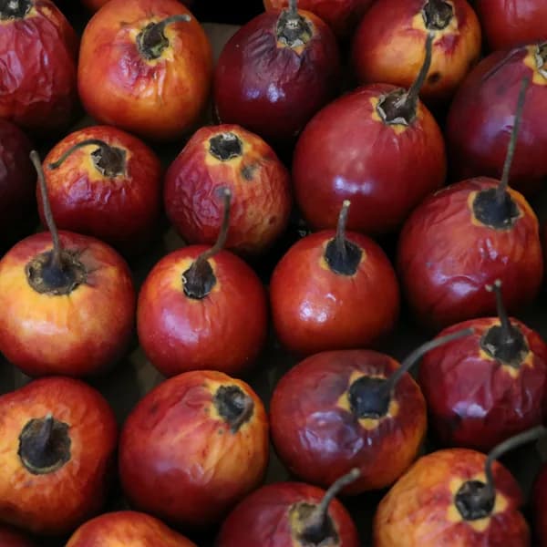 Tree Tomatoes (KG)