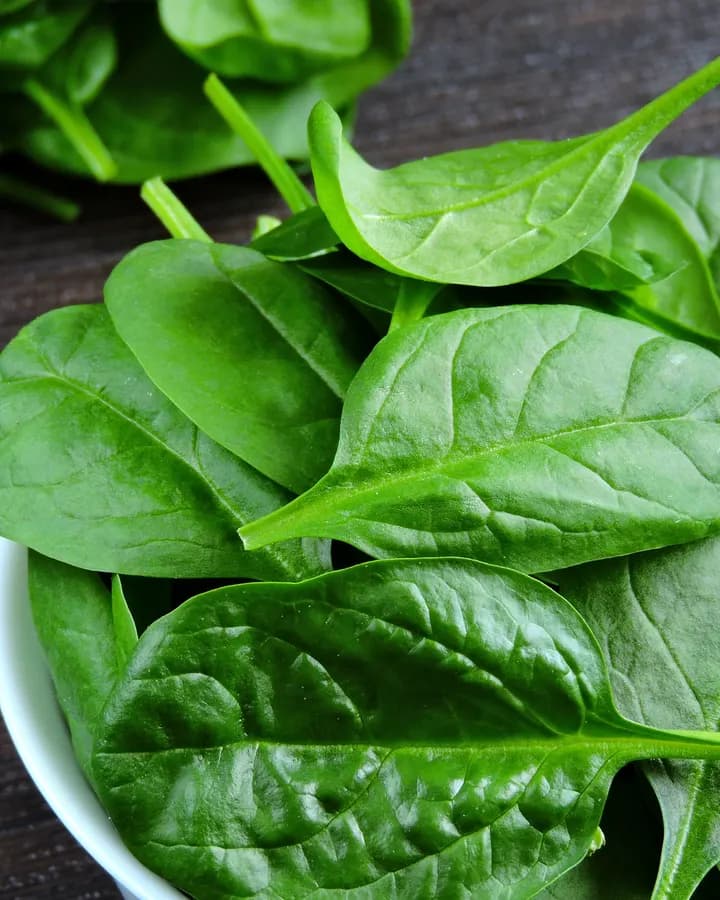Vine Spinach (Bunch)