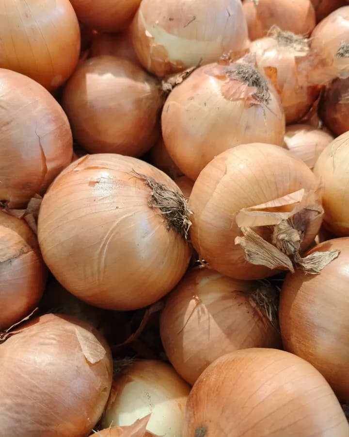 White Onions (KG)