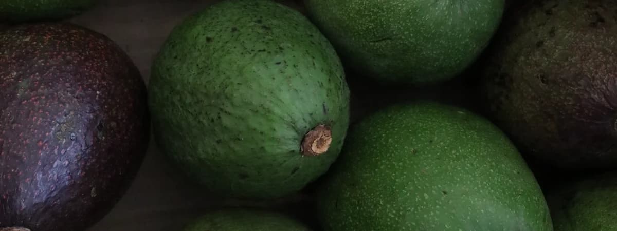 Fresh fruits