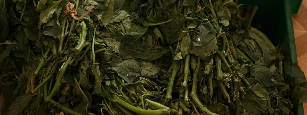 Vegetables