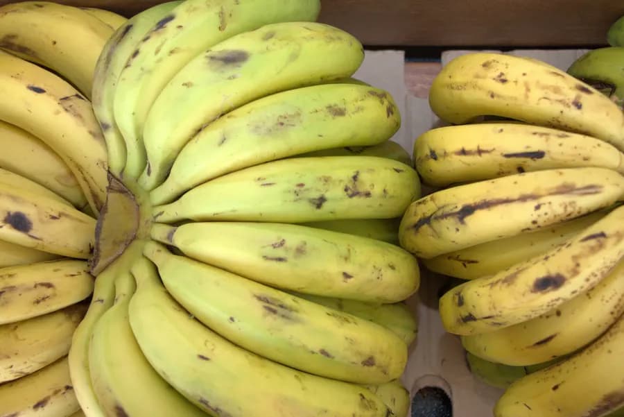 Long Bananas (KG)