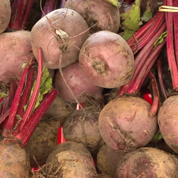 Beetroots (KG)