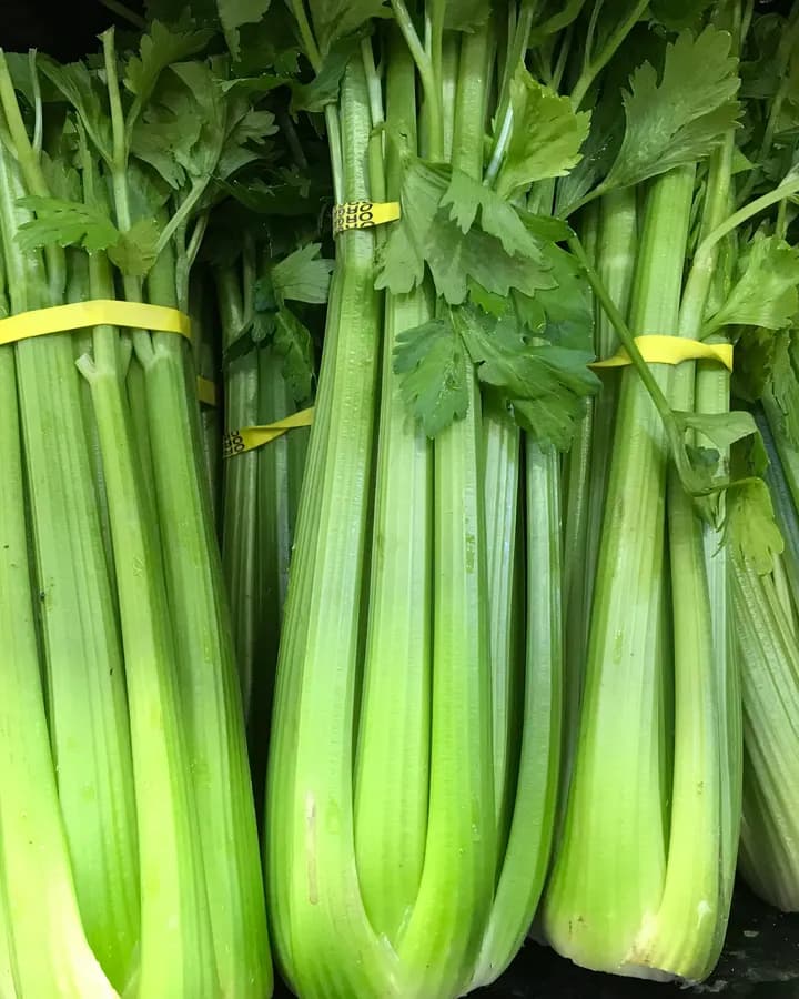 Celery (Bunch)