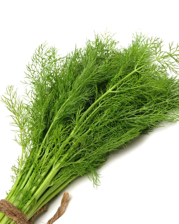 Fresh Dill (50g)