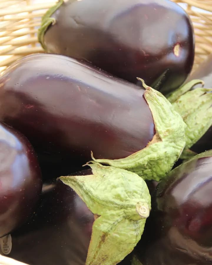 American Eggplant (KG)