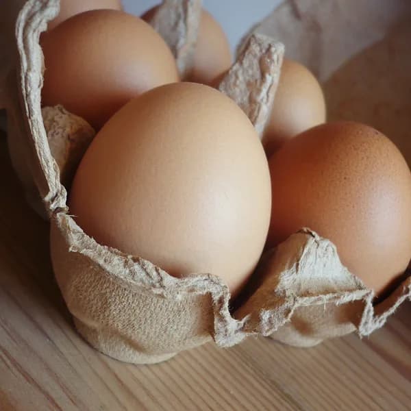 Eggs