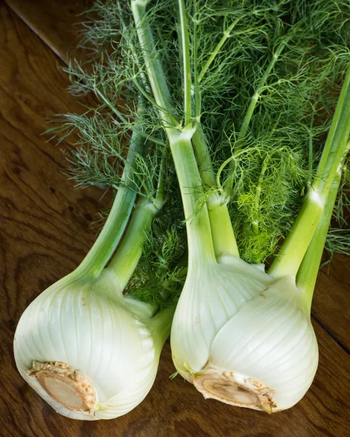 Fennel (Bunch)