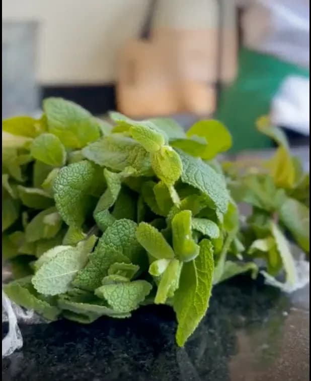 Fresh Mint (50g)