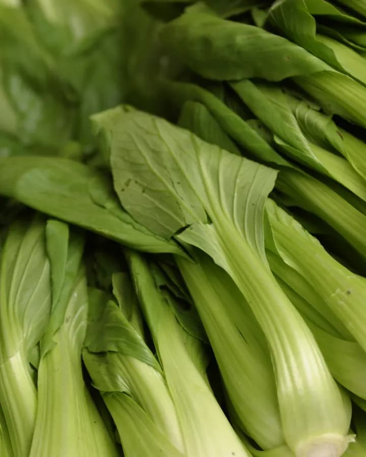 Pak Choi (Bunch)
