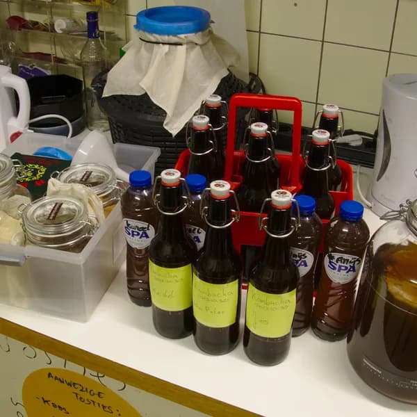 Pash - Passion Fruit Kombucha (500mL)