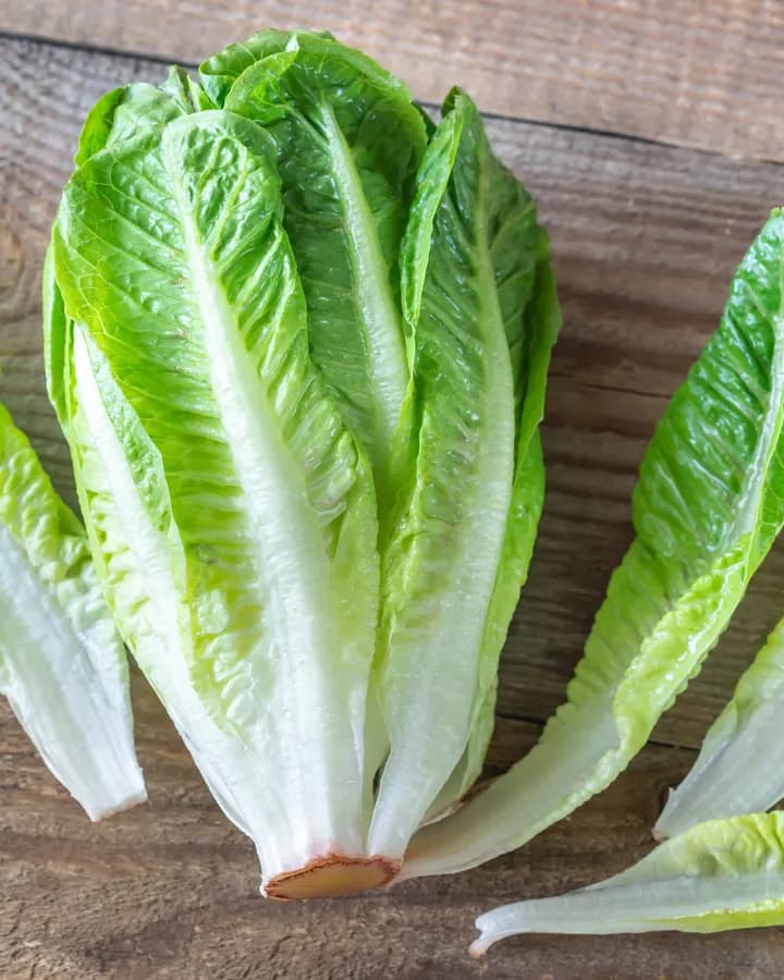 Romaine Lettuce (Bunch)