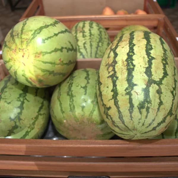 Watermelon (KG)