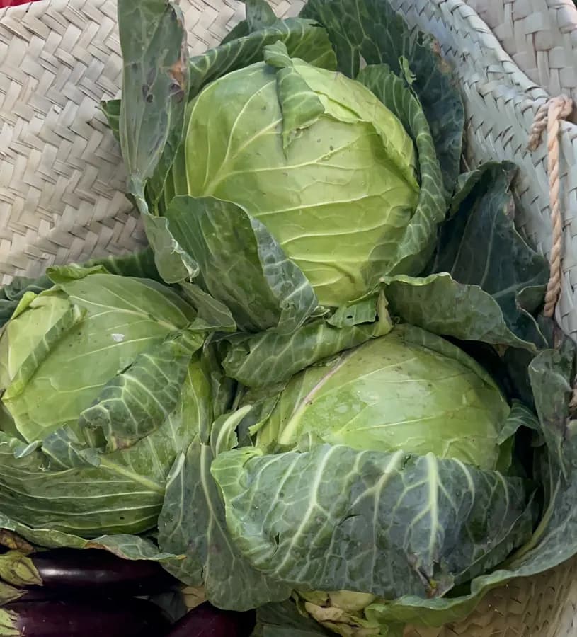 White Cabbage (Per piece)