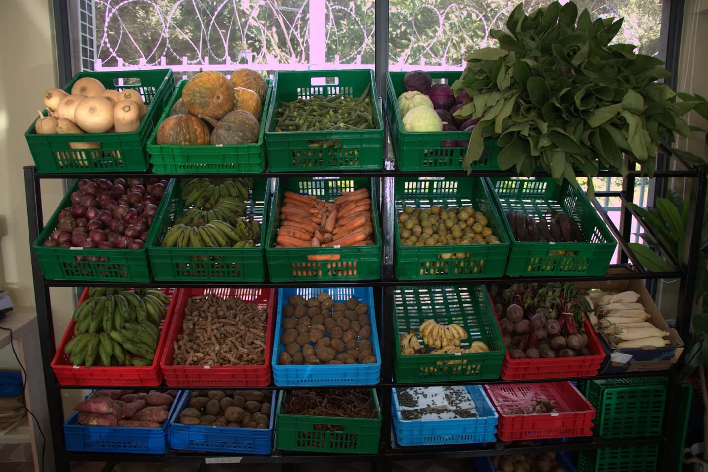Fresh, vetted produce on the Local Greenz Market shelves